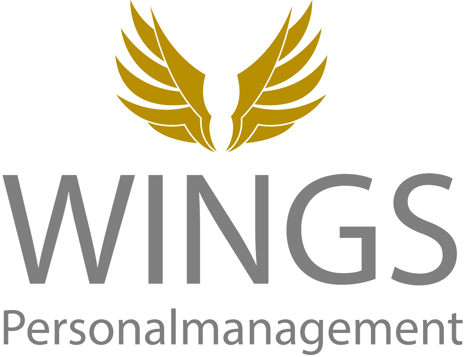 WINGS Personalmanagement im Raum Siegen logo